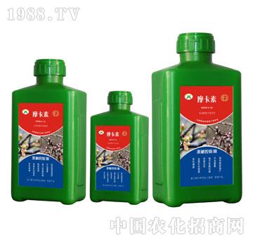 (sh)(zhun)ðҺķ-Ħ-(qing)о(gu)H