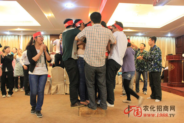 團(tuán)隊的力量