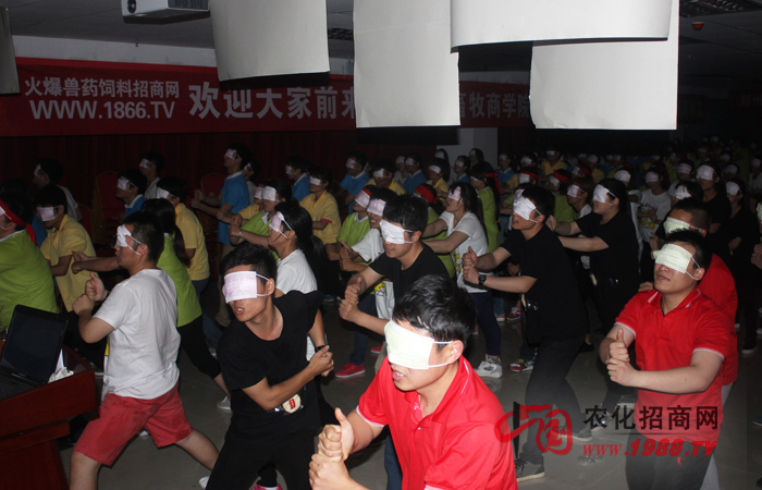 在逆境中成長,在團隊中歷練