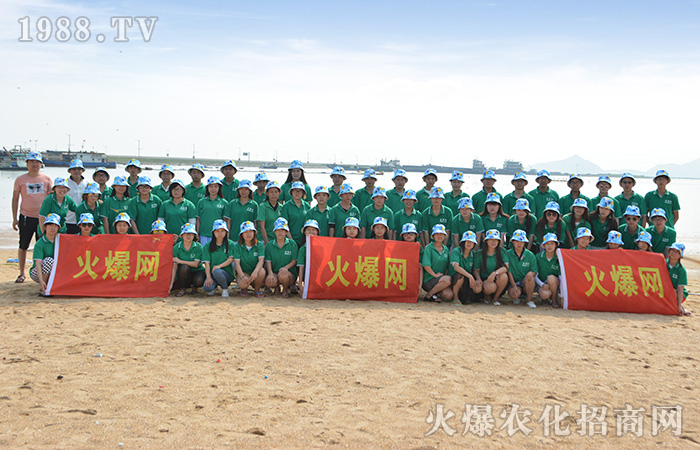 火爆團(tuán)隊(duì),海島之旅