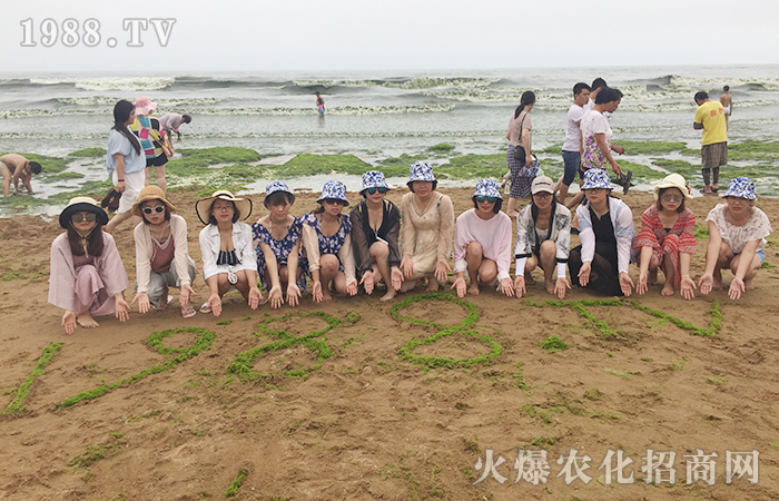 紅瓦綠樹(shù),碧海藍(lán)天