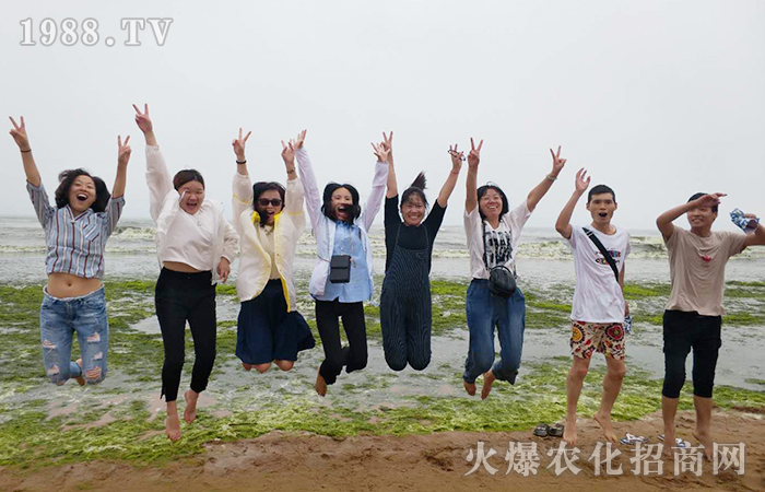 紅瓦綠樹(shù),碧海藍(lán)天