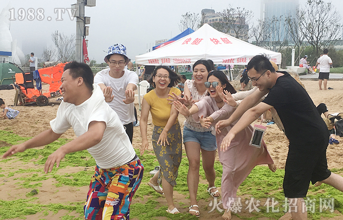 一片海,一群人,一份情,一個(gè)夢!