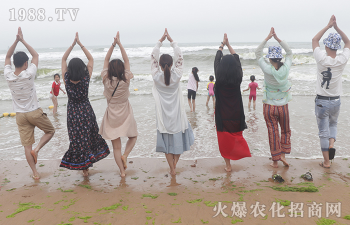 風平浪靜的背后,實則波濤洶涌