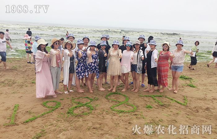 紅磚綠瓦 碧海藍天