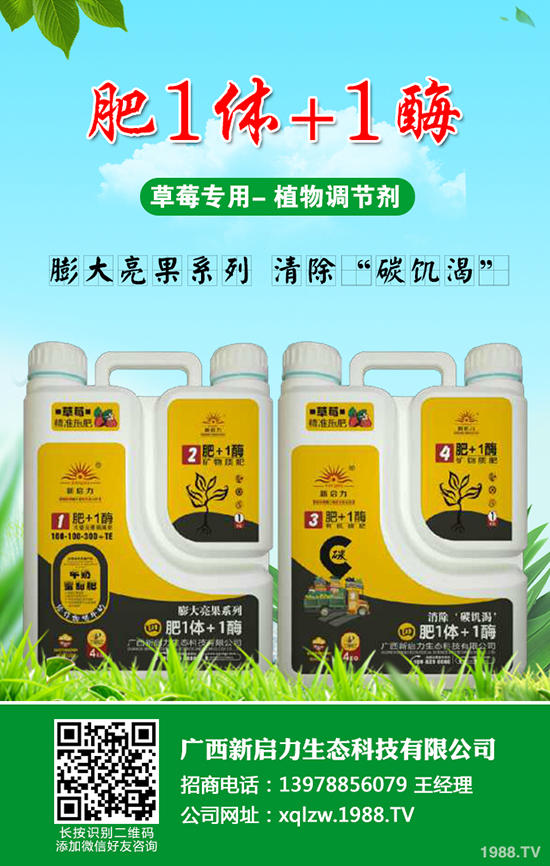 小麥播種時間