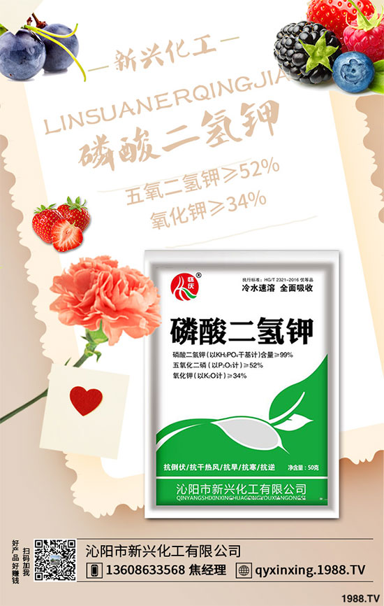 香蔥連作危害大,到底該如何解決?香蔥連作障礙及高產管理技術!