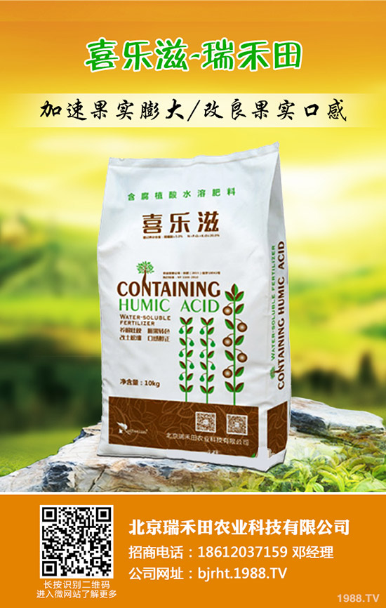 冬棗什么時間種植,冬棗高產(chǎn)管理技術!