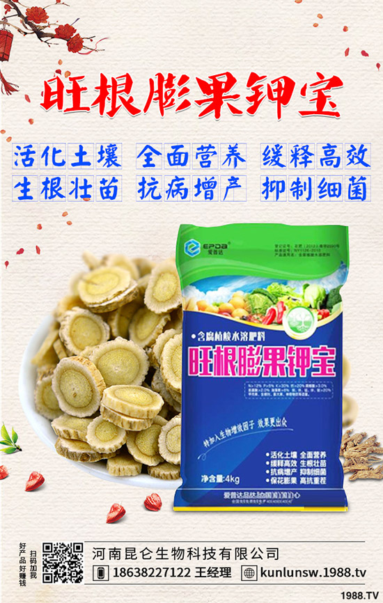 高粱什么時候種植,高粱田間管理技術有哪些?