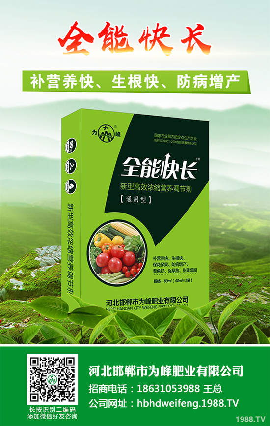 五味子樹(shù)該如何種植?五味子規(guī)模化種植技術(shù)