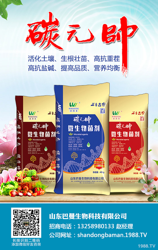 2019-11-15尿素周報:價格持續(xù)下滑!最新尿素行情分析!