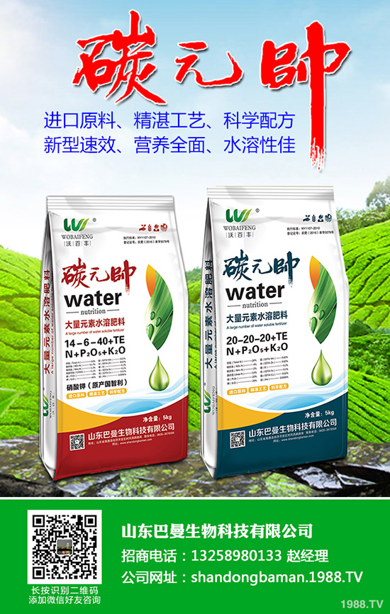 2020年種植什么蔬菜比較好?賺錢(qián)有前景!種植品種推薦!