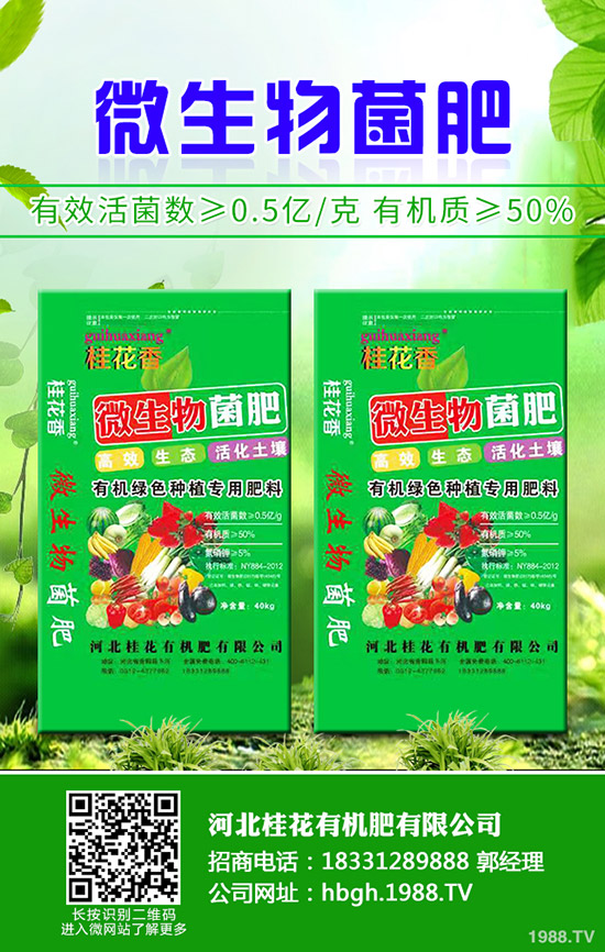 檳榔芋種植技術有哪些,檳榔芋的病蟲害防治