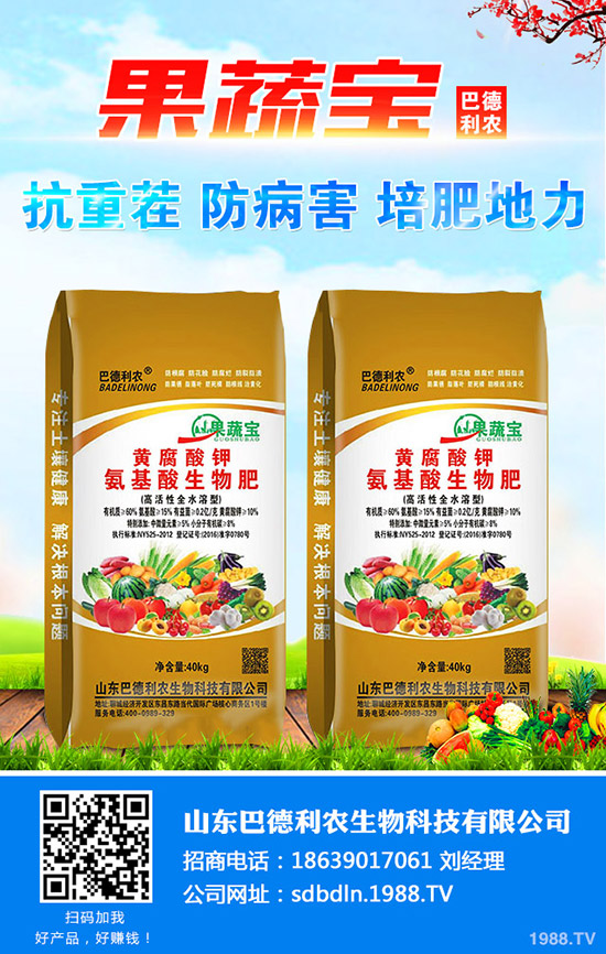 2019年11月4日近期最新鉀肥行情價(jià)格分析及后市預(yù)測(cè)!