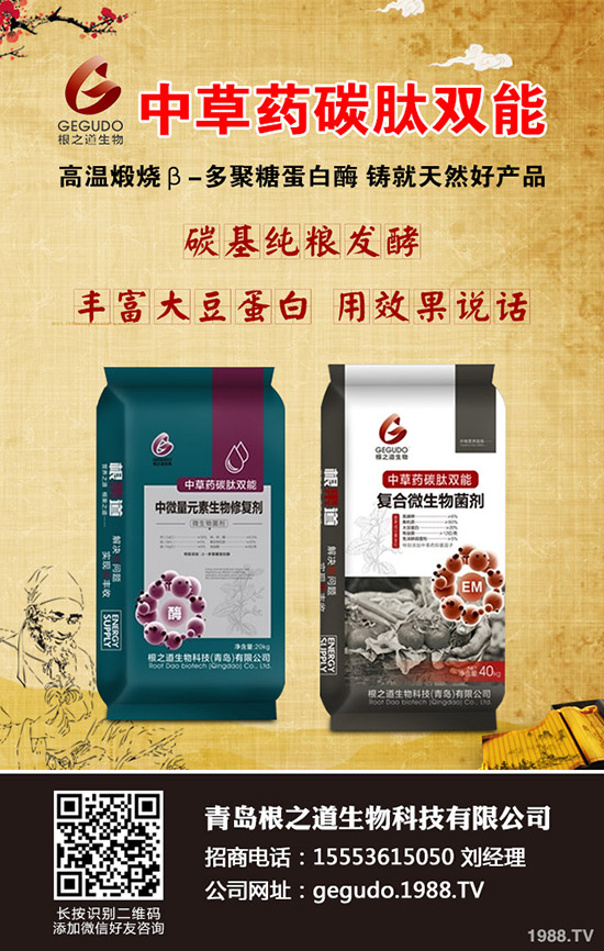大麥播種您真的會嗎,大麥播種時(shí)間及技巧!