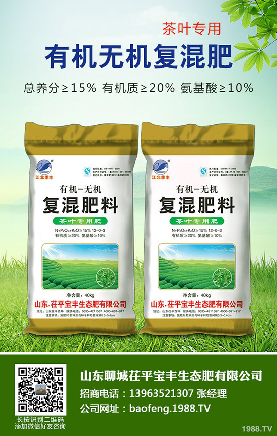 紅薯全面上市!市場飽和滯銷!紅薯價(jià)格多少一斤?2020年還有種植前景么?