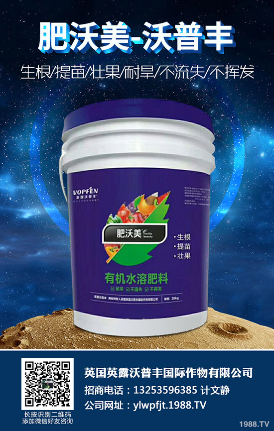 菊花種植方法有哪些?菊花應該怎樣養(yǎng)護?