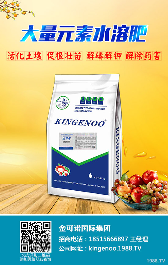 大蒜適宜的種植時(shí)間是什么時(shí)候,大蒜種植方法有哪些