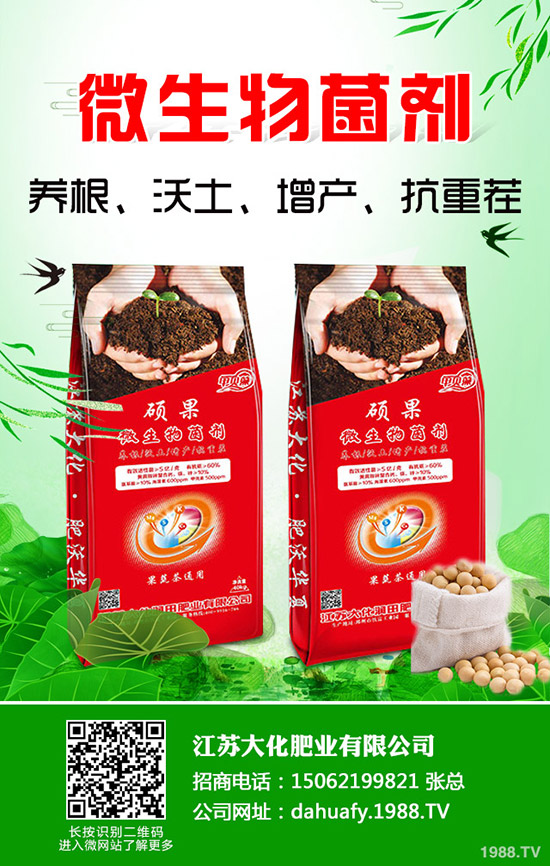 һa(chn)Ƕ2020NֲٍXǰͳɱΣ
