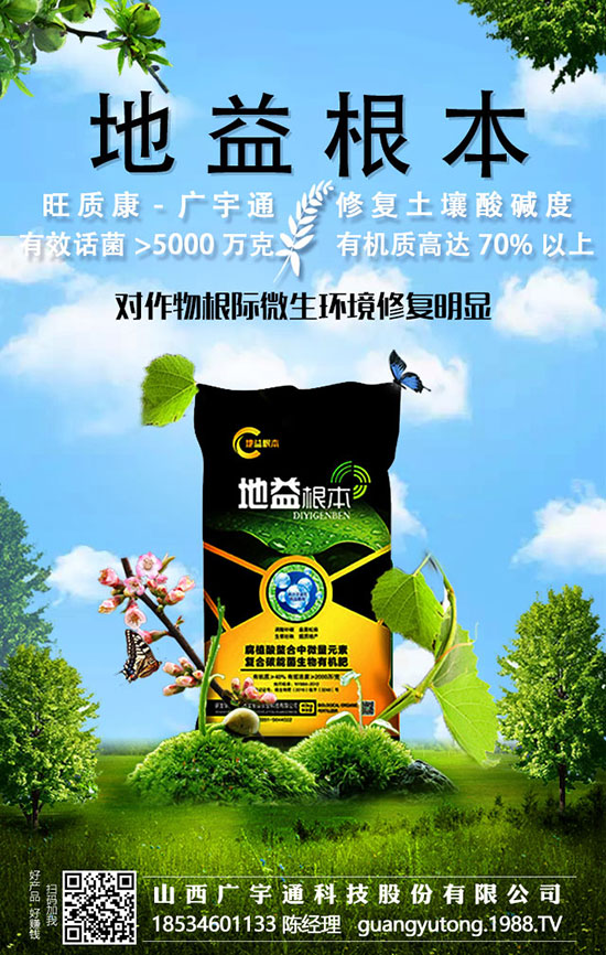 冬季紅薯深得人心,它的施肥技術是否人人了解呢?