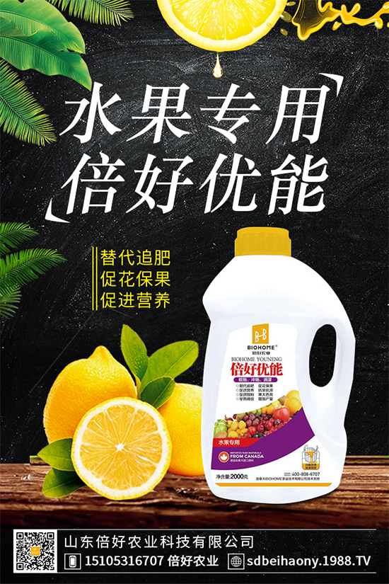 木耳菜有哪些營養(yǎng)價(jià)值?木耳菜的功效作用