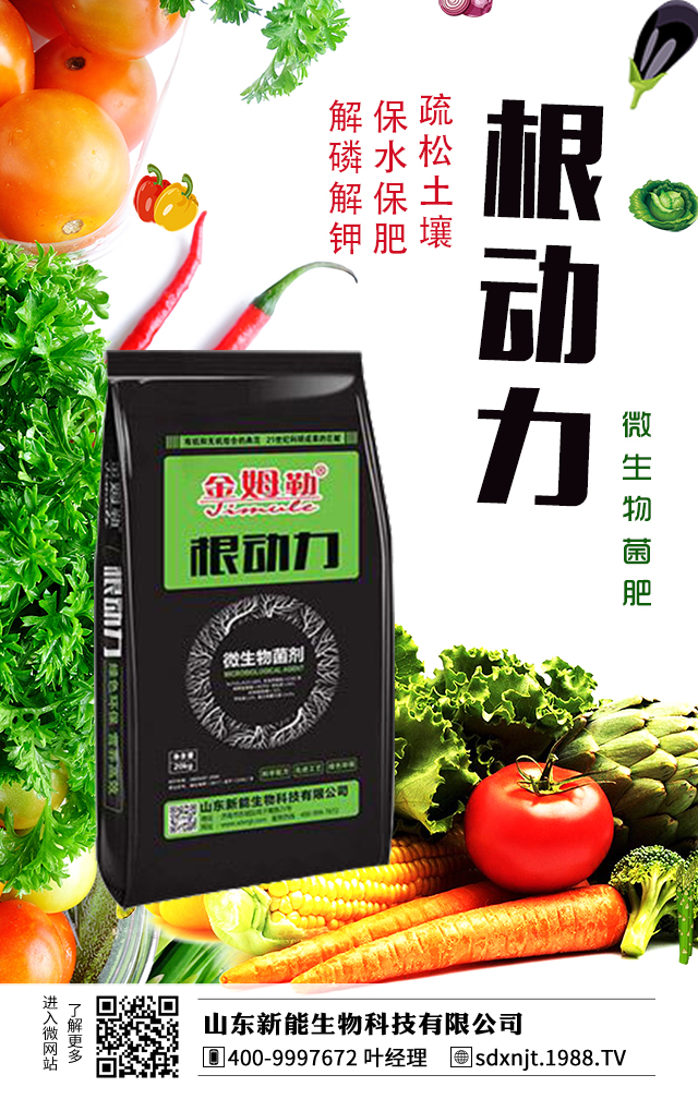 馬鈴薯需肥量大，如何給馬鈴薯施肥？