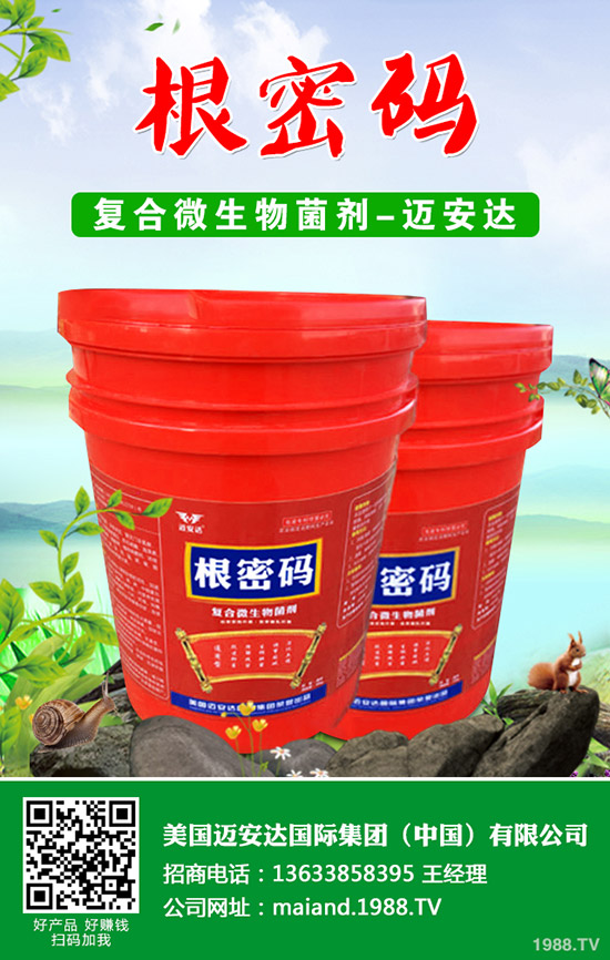 西葫蘆什么時候種植?西葫蘆種植技術!