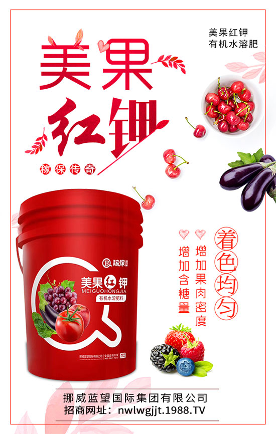 蓮藕什么時候種植?蓮藕種植技術(shù)要點!