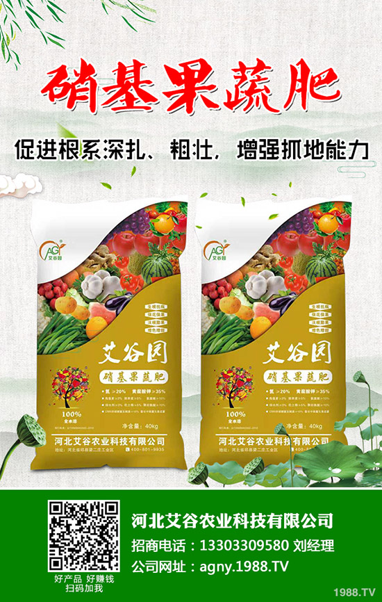 花椰菜與西蘭花的營養(yǎng)價(jià)值有什么不同,花椰菜西蘭花的區(qū)別有哪些?