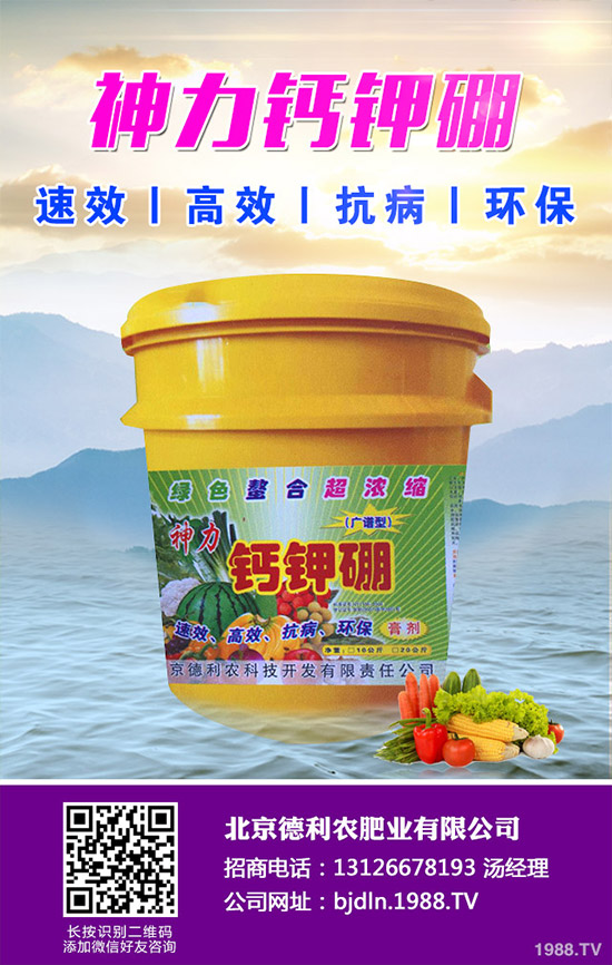 茄子怎么播種?茄子的高產種植方法!