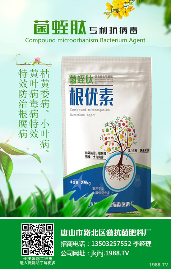 黑皮冬瓜什么時候種合適?黑皮冬瓜高產(chǎn)種植技巧!