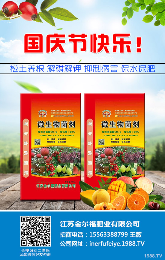 秋季香菜如何種植?香菜種植時間及種植技術、管理注意事項!