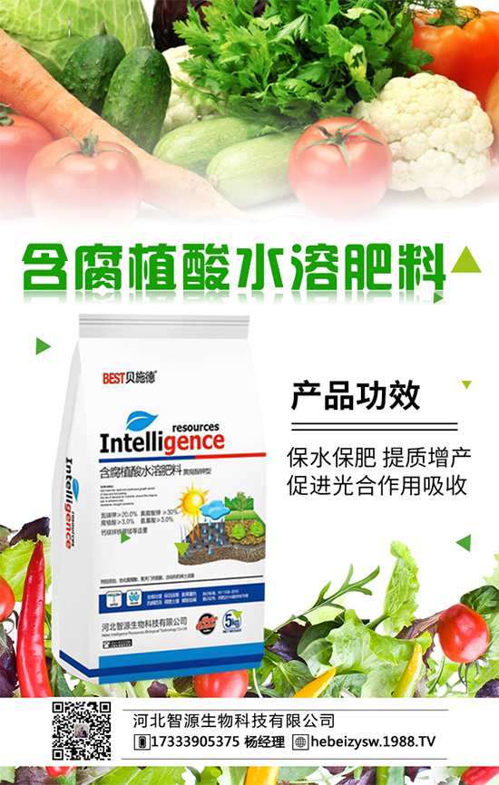 冬瓜要想吃不完,要學會冬瓜的科學種植!