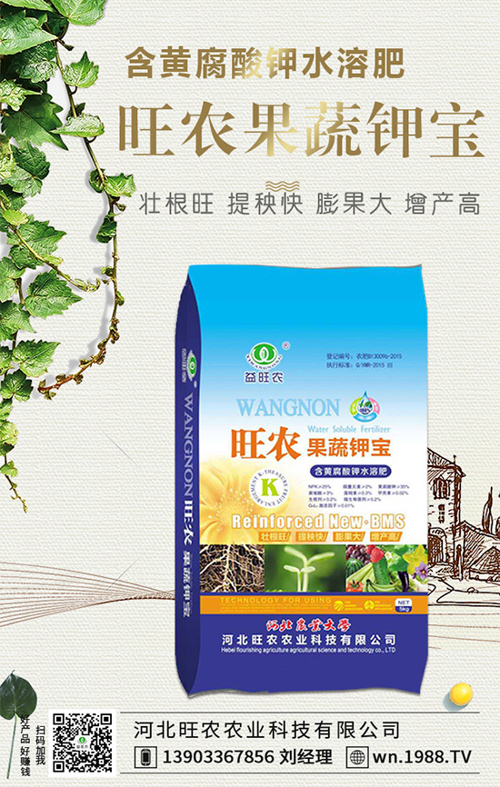 郁金香生長習(xí)性有哪些?郁金香養(yǎng)護(hù)要點!