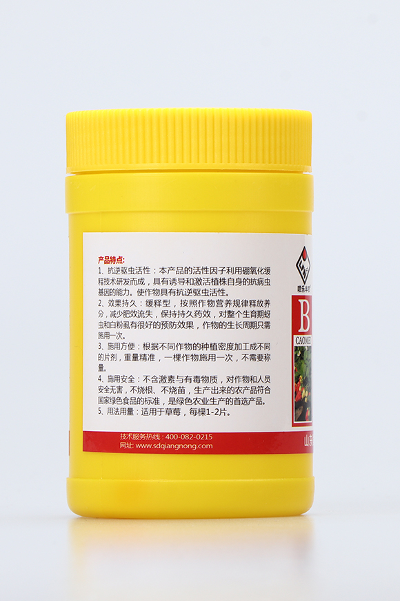 草莓移栽片3