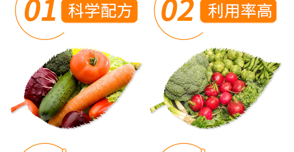 (xin)x(chng)-o(w)(xin)ţ-CR_06