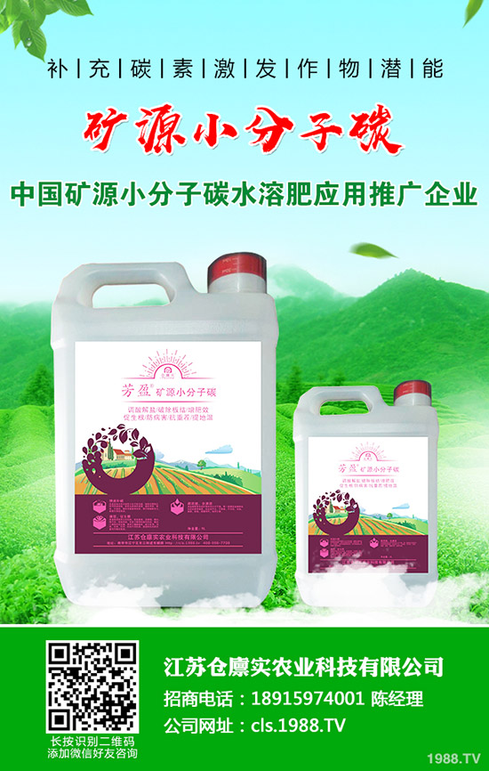 黑苦瓜種子什么時候播種?黑苦瓜種植技術(shù)!