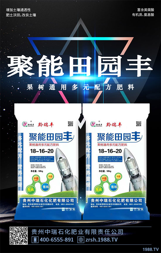 雷丸又稱竹鈴芝、雷實(shí)、竹苓、竹兜菌,是一種常用的藥用菌,與茯苓、豬苓并列為“三苓”。具有殺蟲消積的功效,常用于絳蟲、鉤蟲、蛔蟲、蟲積、小兒疳積等病癥,F(xiàn)今市場(chǎng)雷丸供藥多以野生為主,而人工目前少有栽培;雷丸種植對(duì)環(huán)境要求比較苛刻,喜溫暖氣候地區(qū),以林中潮濕潤(rùn)地為宜,但田間管理簡(jiǎn)易,只需注意溫度和干旱就行。那么,雷丸該怎么種?雷丸的種植方法及田間管理要點(diǎn)有哪些呢?