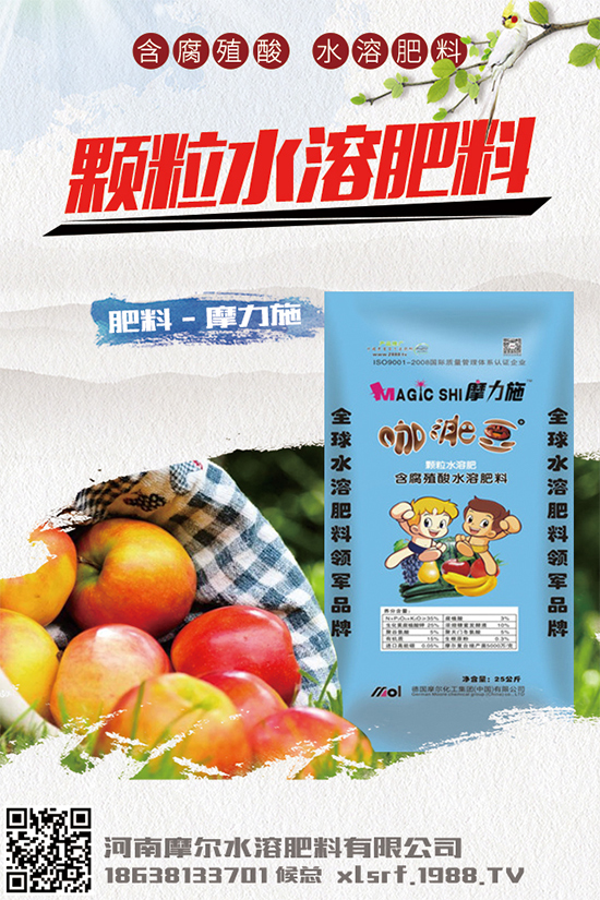 種植白術掙錢嗎?2020白術種植前景及效益分析