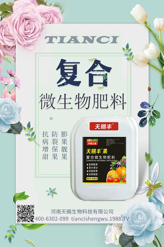 南瓜種植如何提高座果率?南瓜增產(chǎn)增收五大方法
