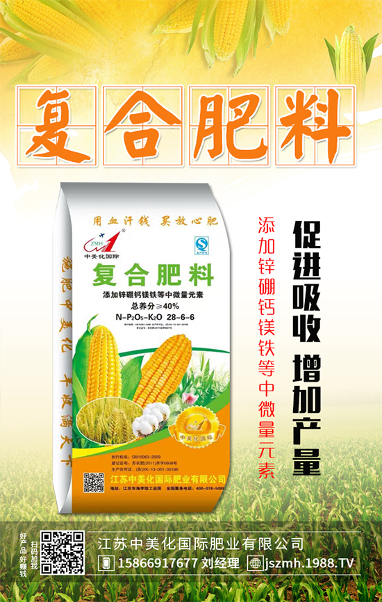 茄子什么時間育苗?茄子育苗的栽培管理要點(diǎn)!
