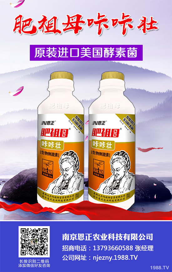春花生為何不能播種過早或過晚?播種時間應(yīng)該在4月還是5月?答案來了!