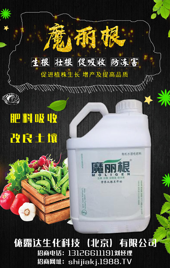 香蔥對(duì)環(huán)境的要求有哪些,香蔥的種植季節(jié)及日常管理!