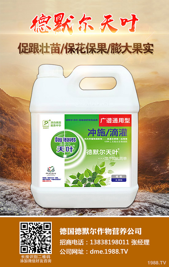長(zhǎng)壽花怎么施肥,學(xué)會(huì)這幾招,輕輕松松開(kāi)滿盆!