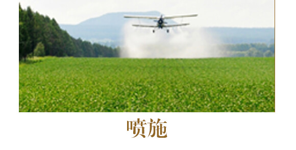 中藥材營養(yǎng)快補-含腐植酸水溶肥-北美農大_13