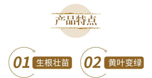 中藥材營養(yǎng)快補-含腐植酸水溶肥-北美農大_05