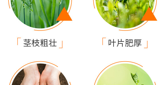 諾爾生物技術有限公司1_07