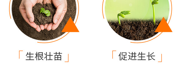 諾爾生物技術有限公司1_08