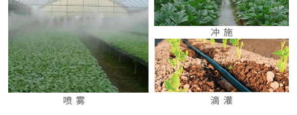 諾爾生物技術有限公司1_15