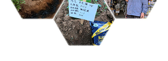 諾爾生物技術有限公司1_12